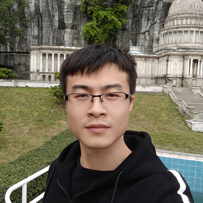 羞涩树叶的照片