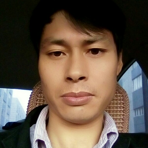 森槿缓慢的照片