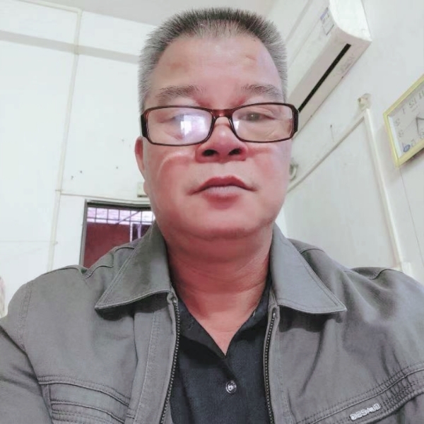 森槿回首大意的照片