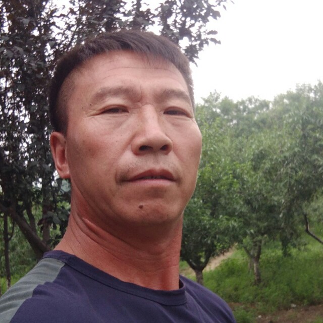 过去的真的就过去的照片