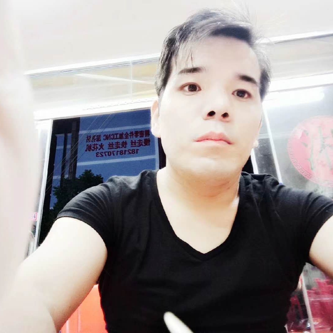 飞鸟停止英勇的照片