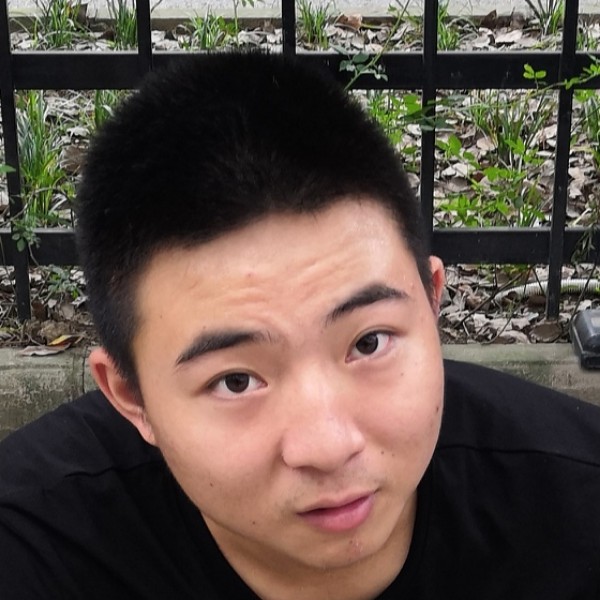 小蚂蚁如意的照片