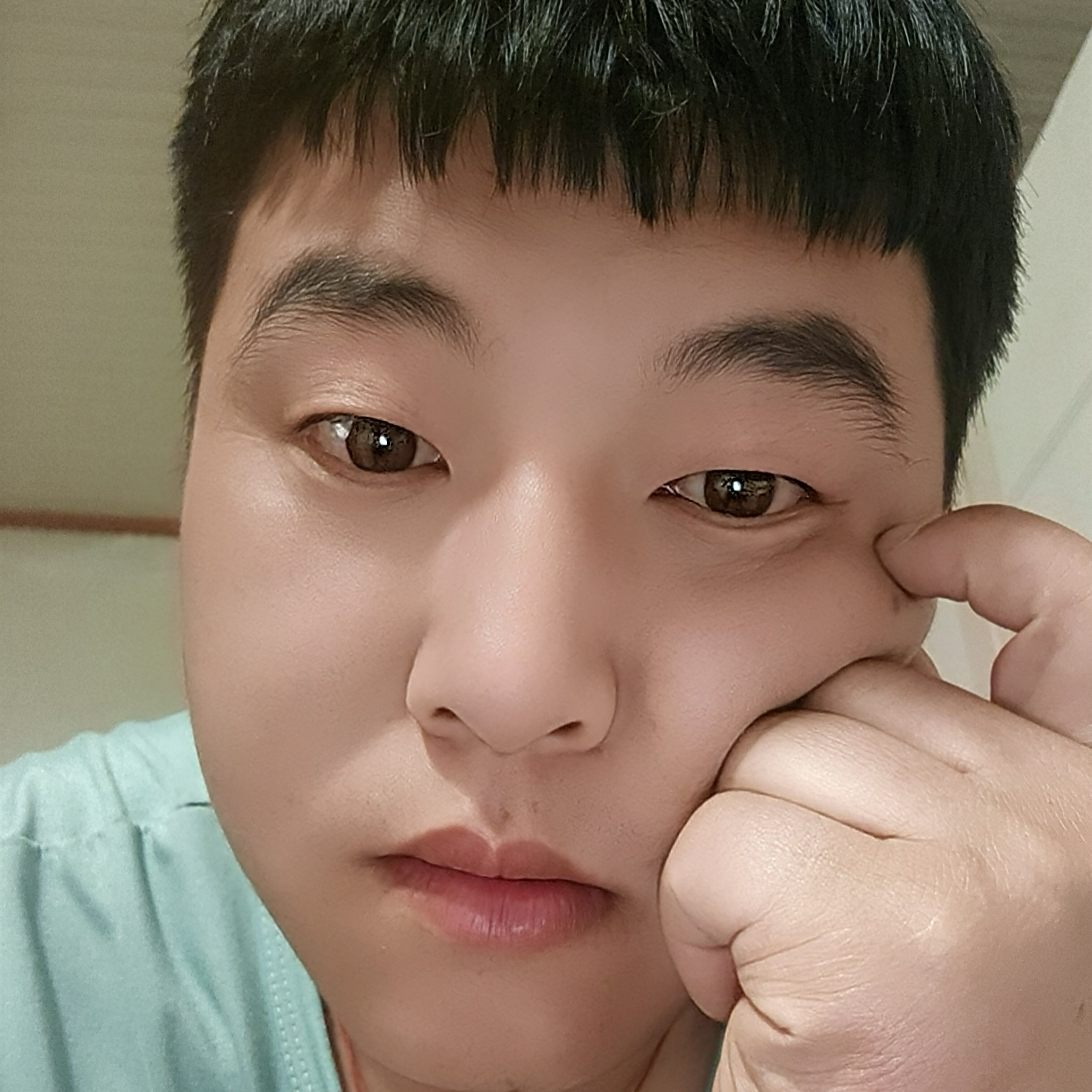 灰狼还怕孤单的照片