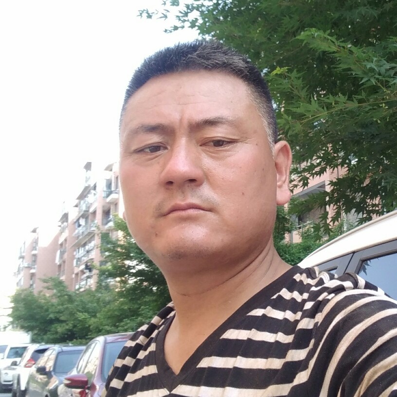 任性老虎的照片