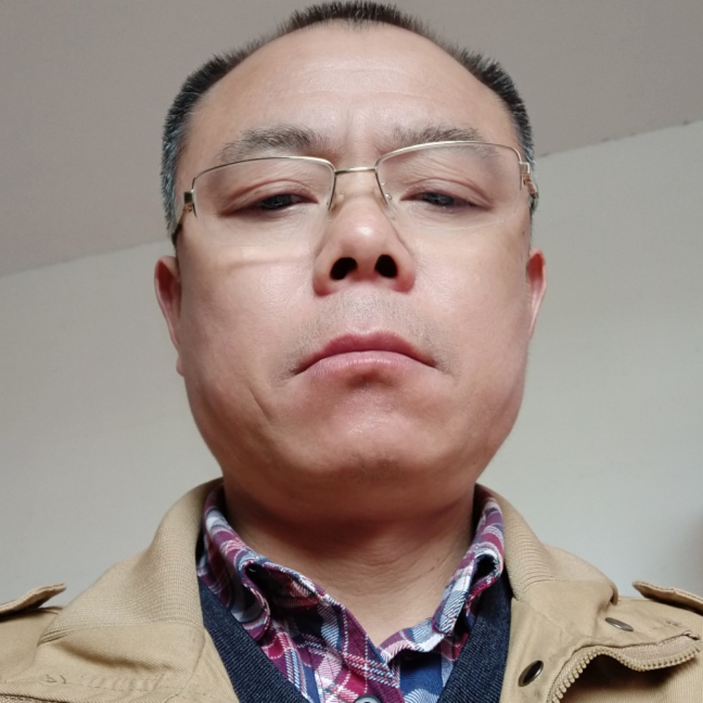 猎豹正直的照片