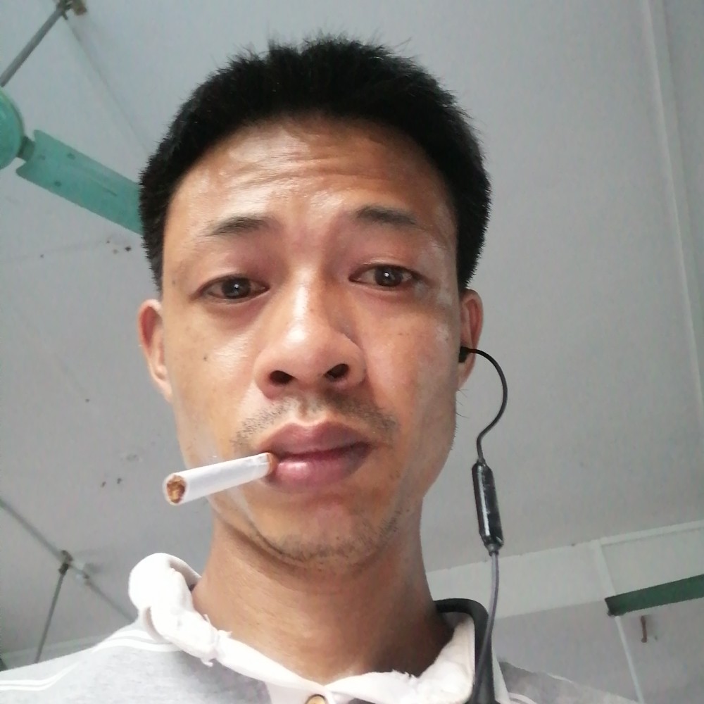 多情怎是无情人伤的照片