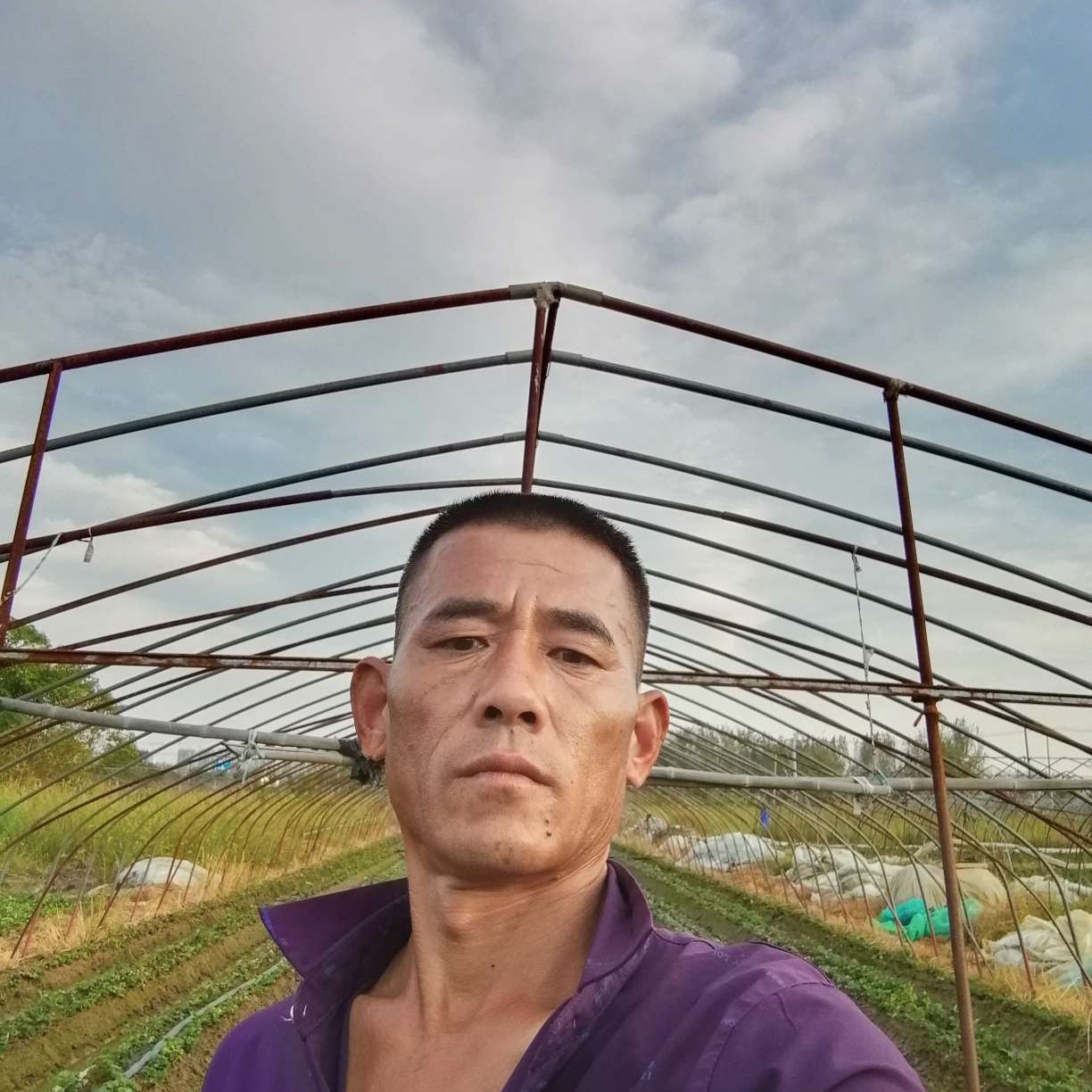 种草莓的小老头的照片