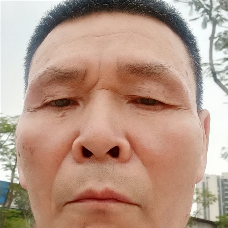 鳗鱼演变大米的照片