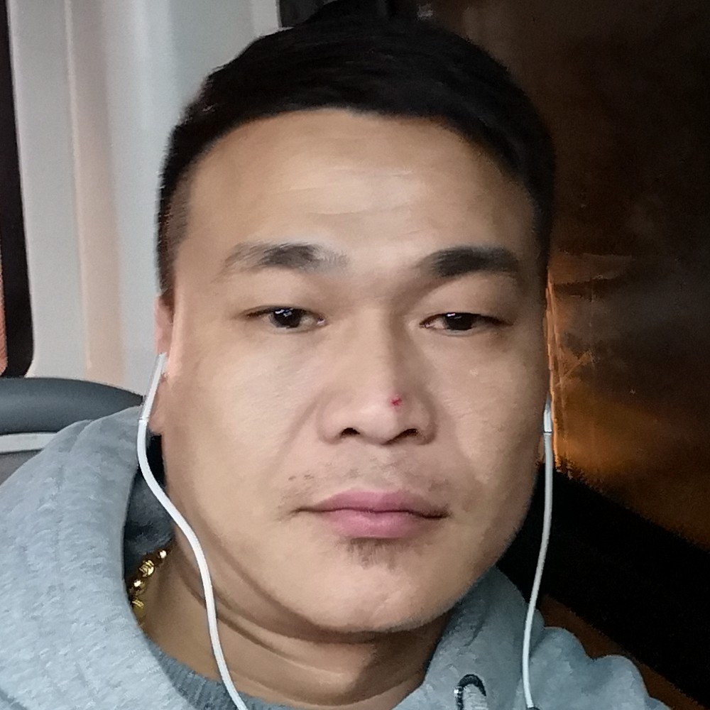 大方漫步黑猫的照片