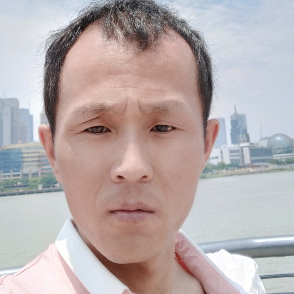 孤独闻鸡的照片