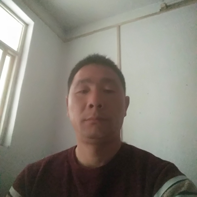 四季开花的照片