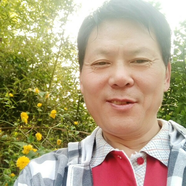 孤心扯稳重的照片