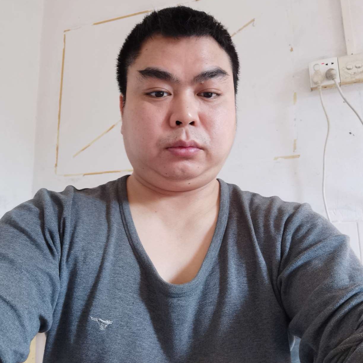 淡定有小猫咪的照片
