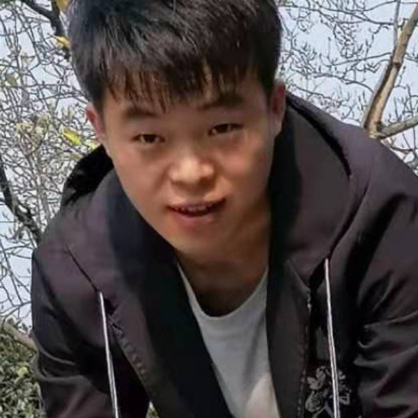 单纯蹁跹冬天的照片