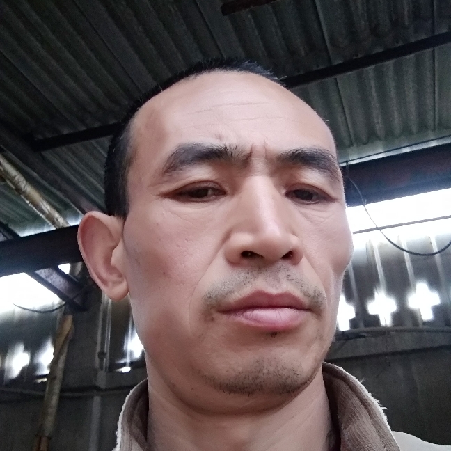 奇异果优雅的照片