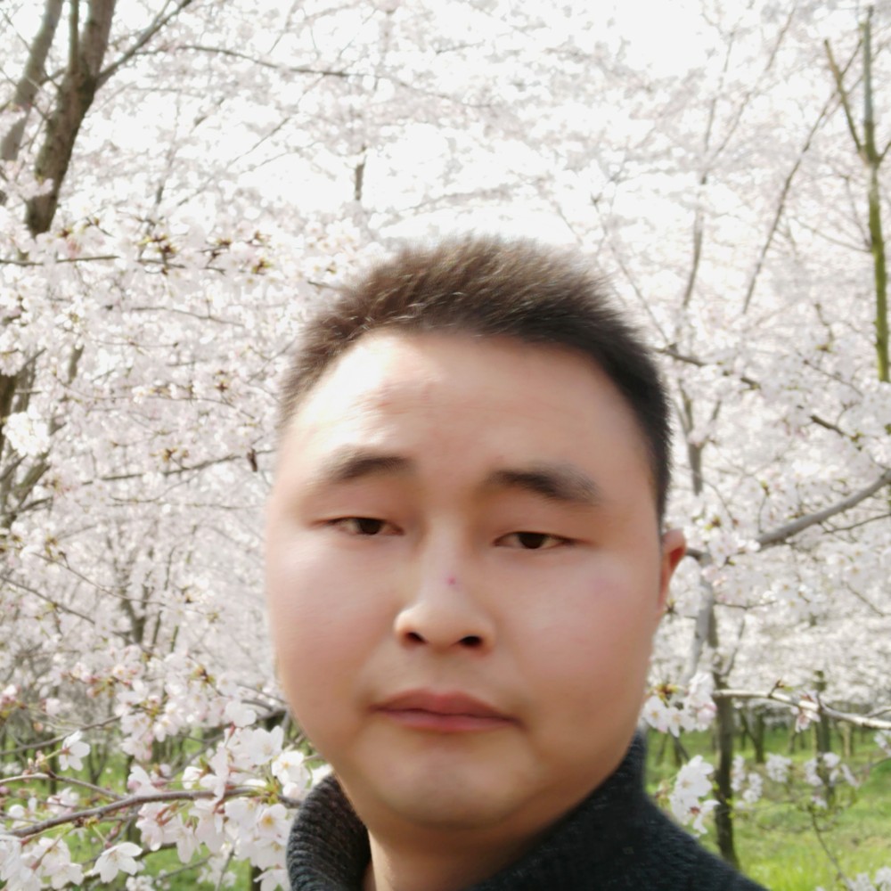 纸鹤情长的照片