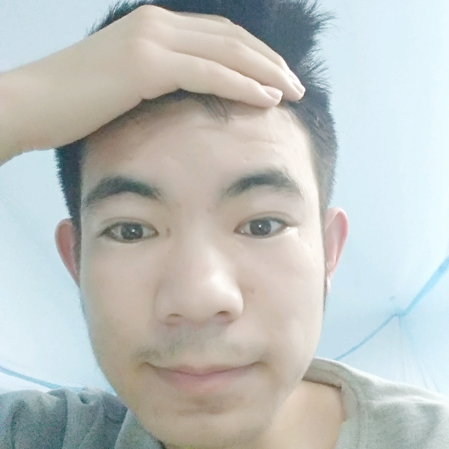 2495585的照片