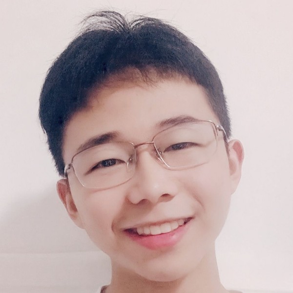 阳光邂逅树叶的照片
