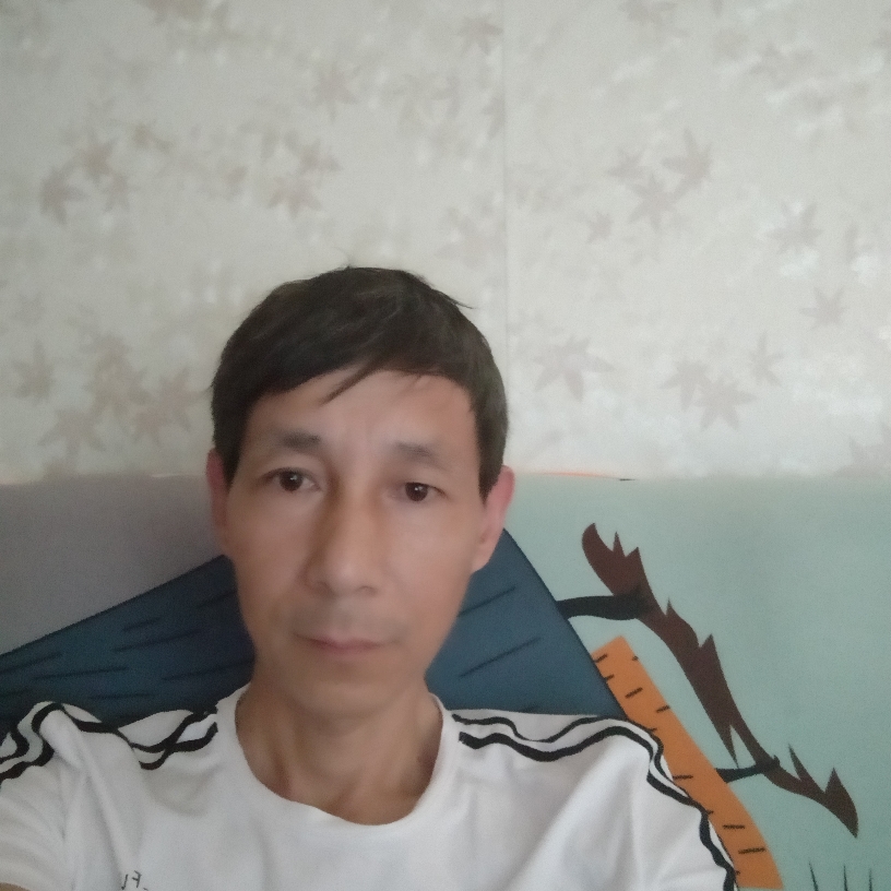 金鱼爱恋无语的照片
