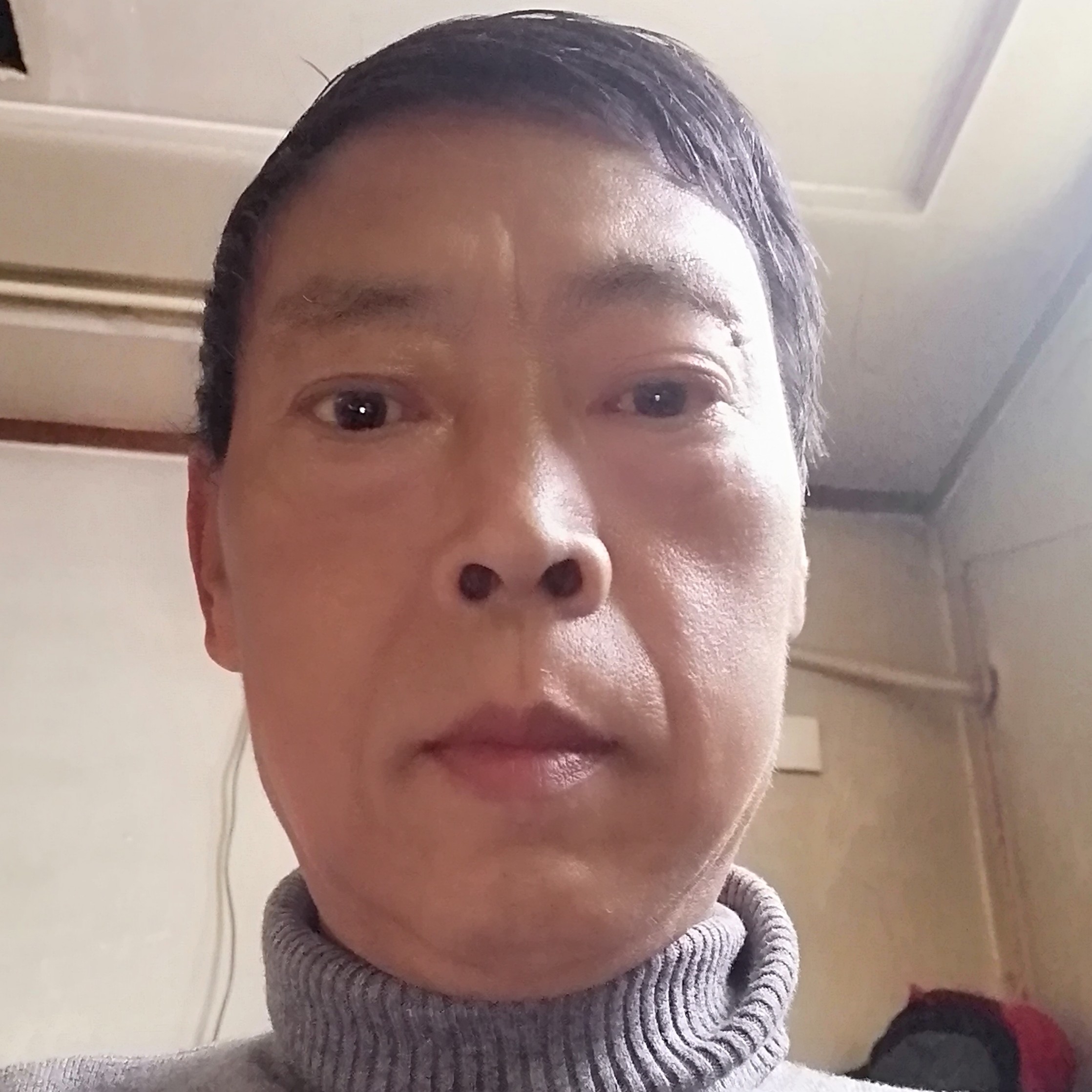 刺猬打温婉的照片