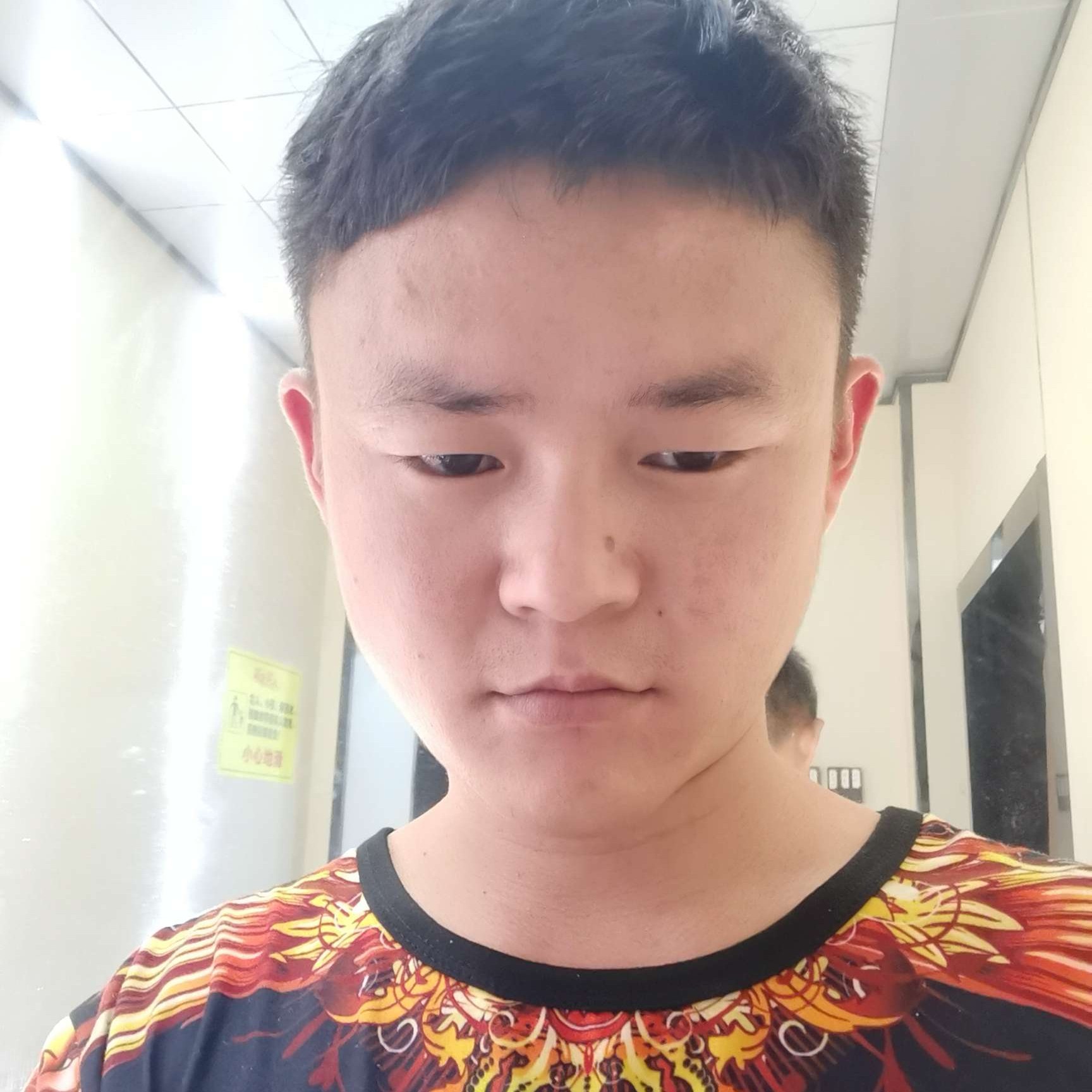 贪玩笑小熊猫的照片