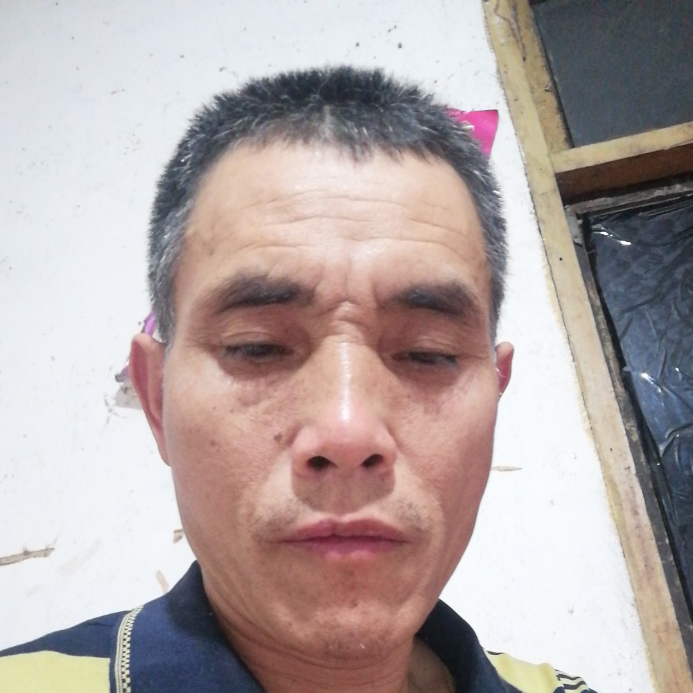 健壮倾心柠檬的照片