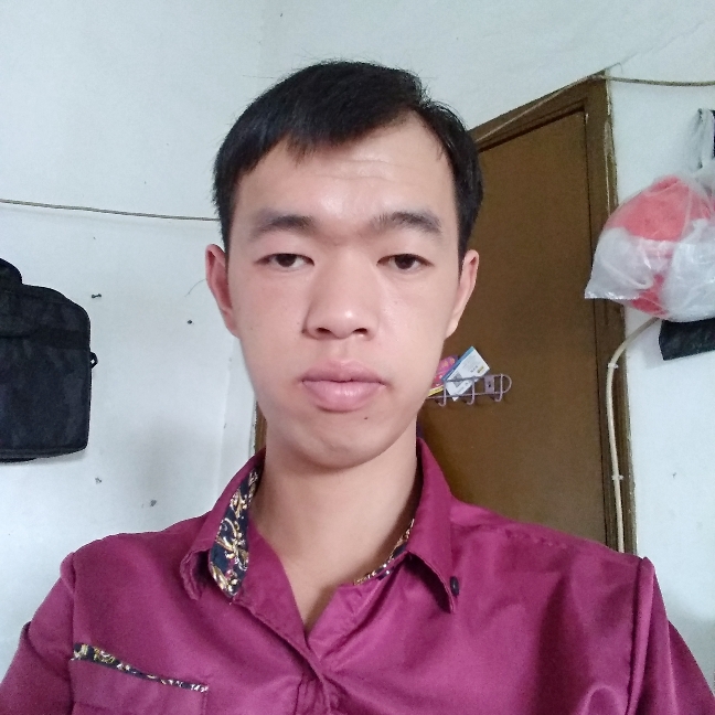 潇洒小天鹅的照片