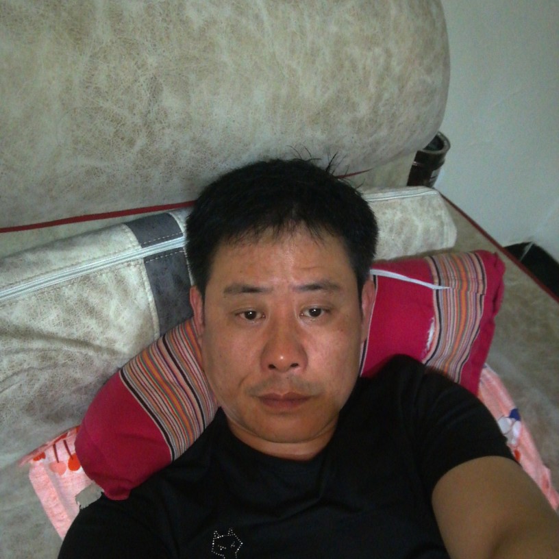 现代邂逅仙人掌的照片