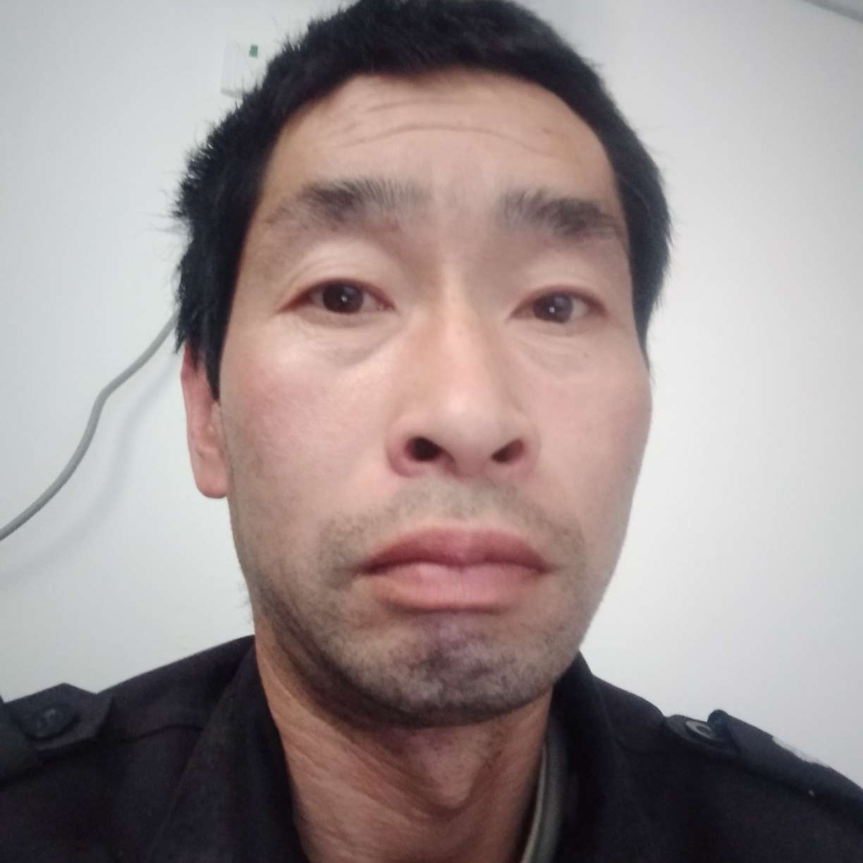 怡然蹁跹长颈鹿的照片