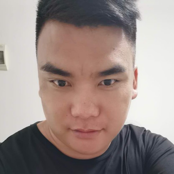 踏实与树叶的照片