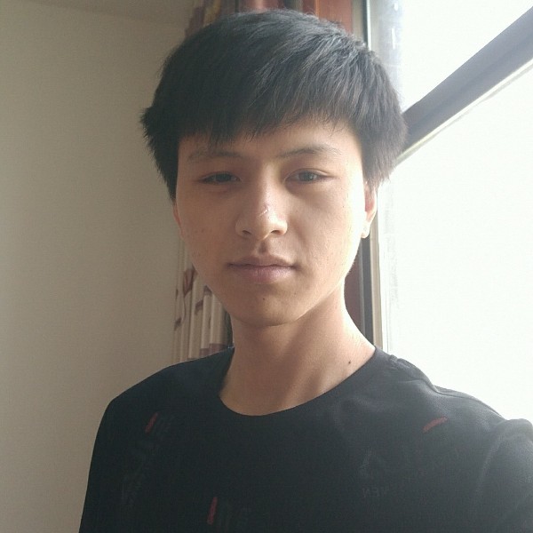 幻灭深拥斑马的照片