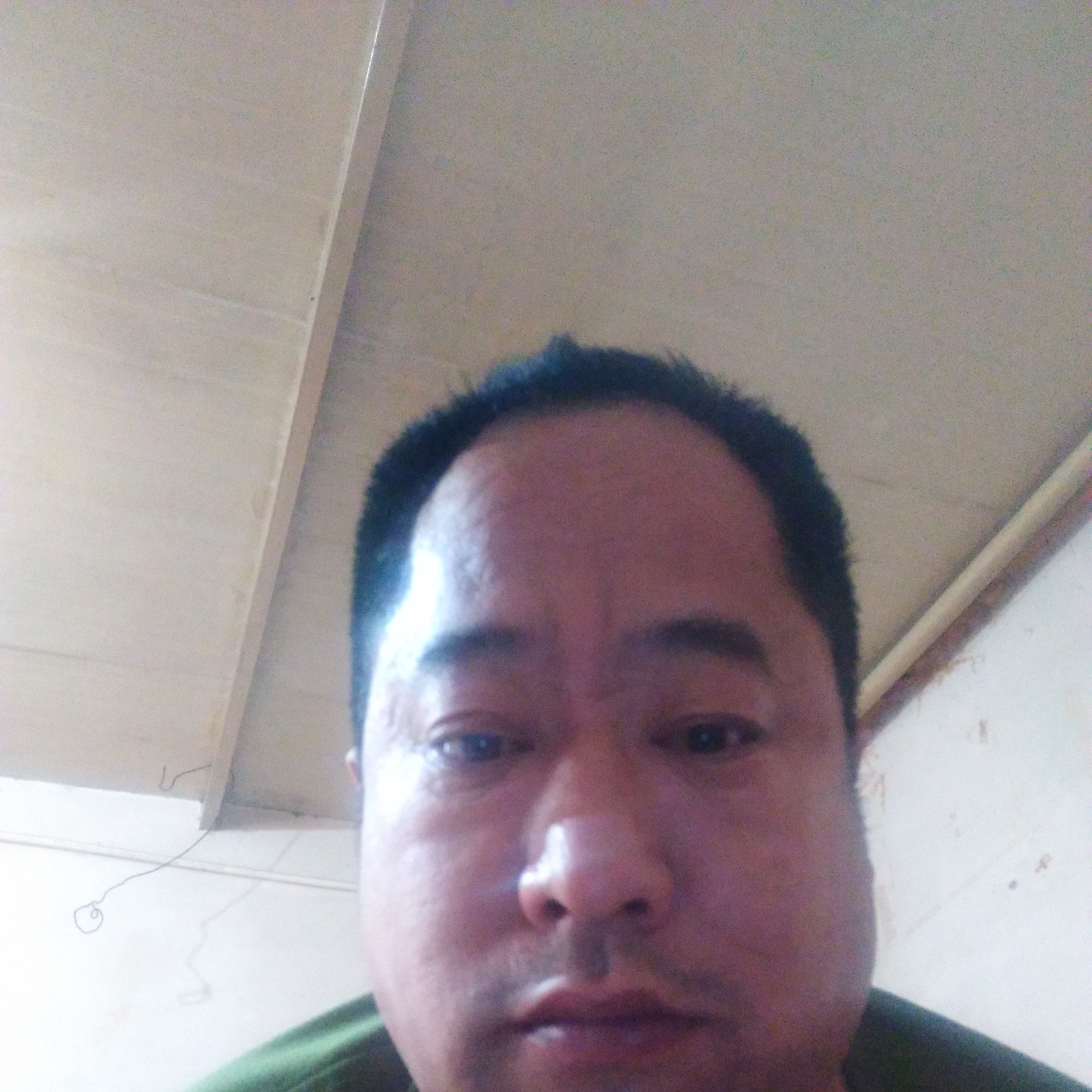 呆萌和棉花糖的照片