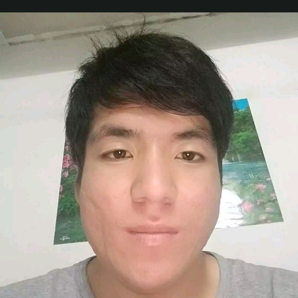 树叶扯满意的照片