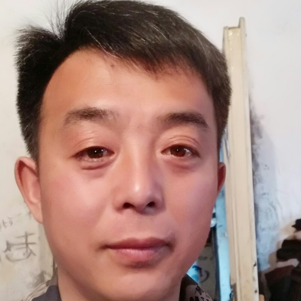 布老虎的照片
