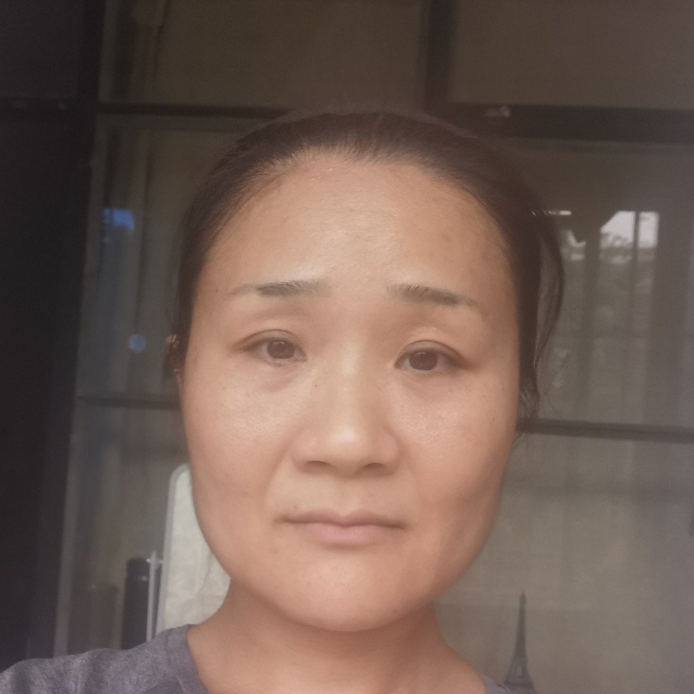 聪明的狗子的照片