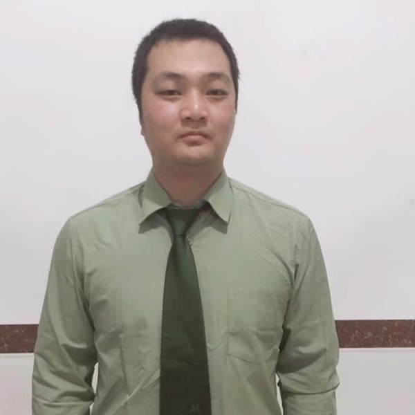 结实树叶的照片