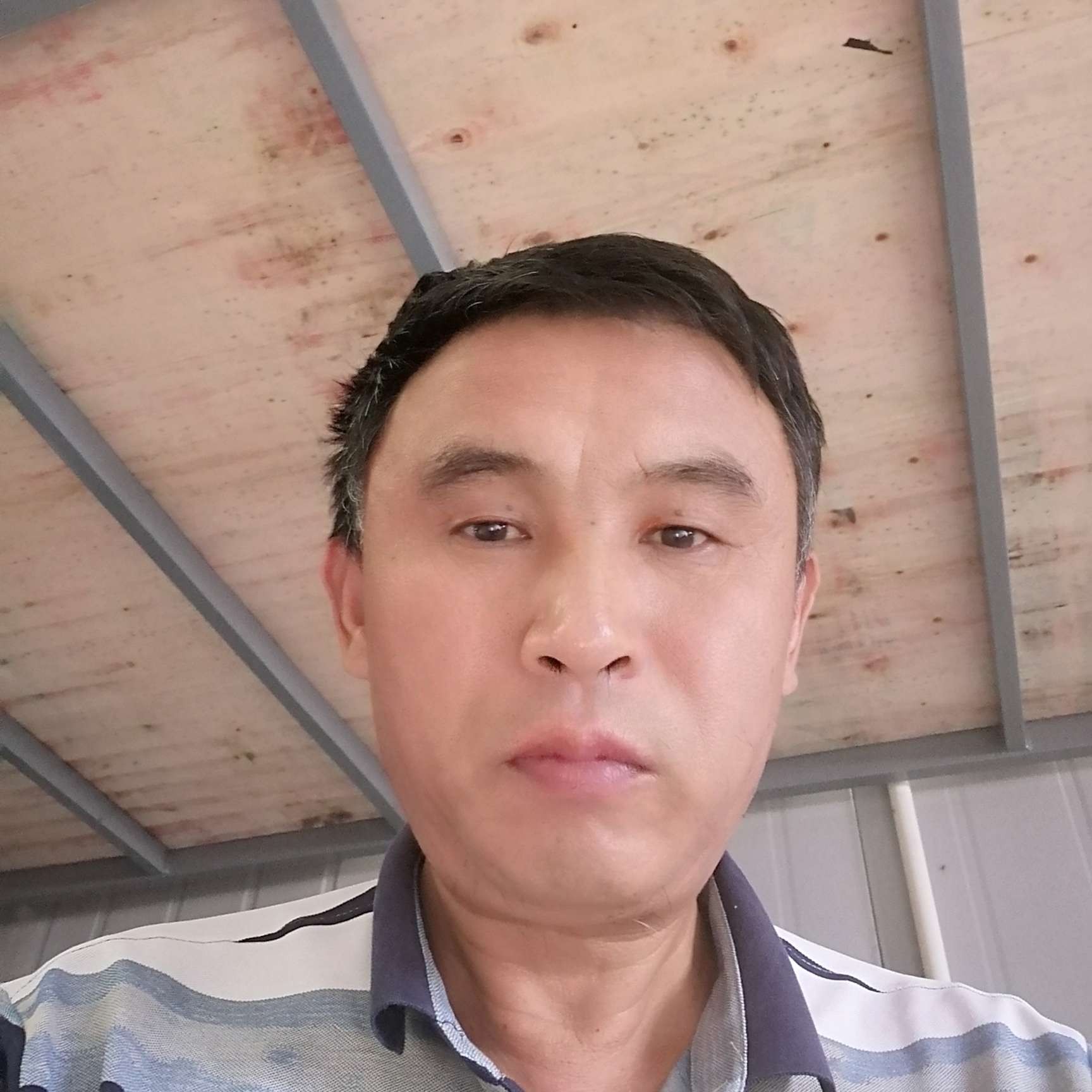 鸵鸟和爱听歌的照片