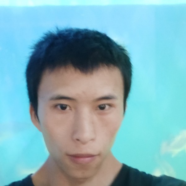天蚕狼牙的照片