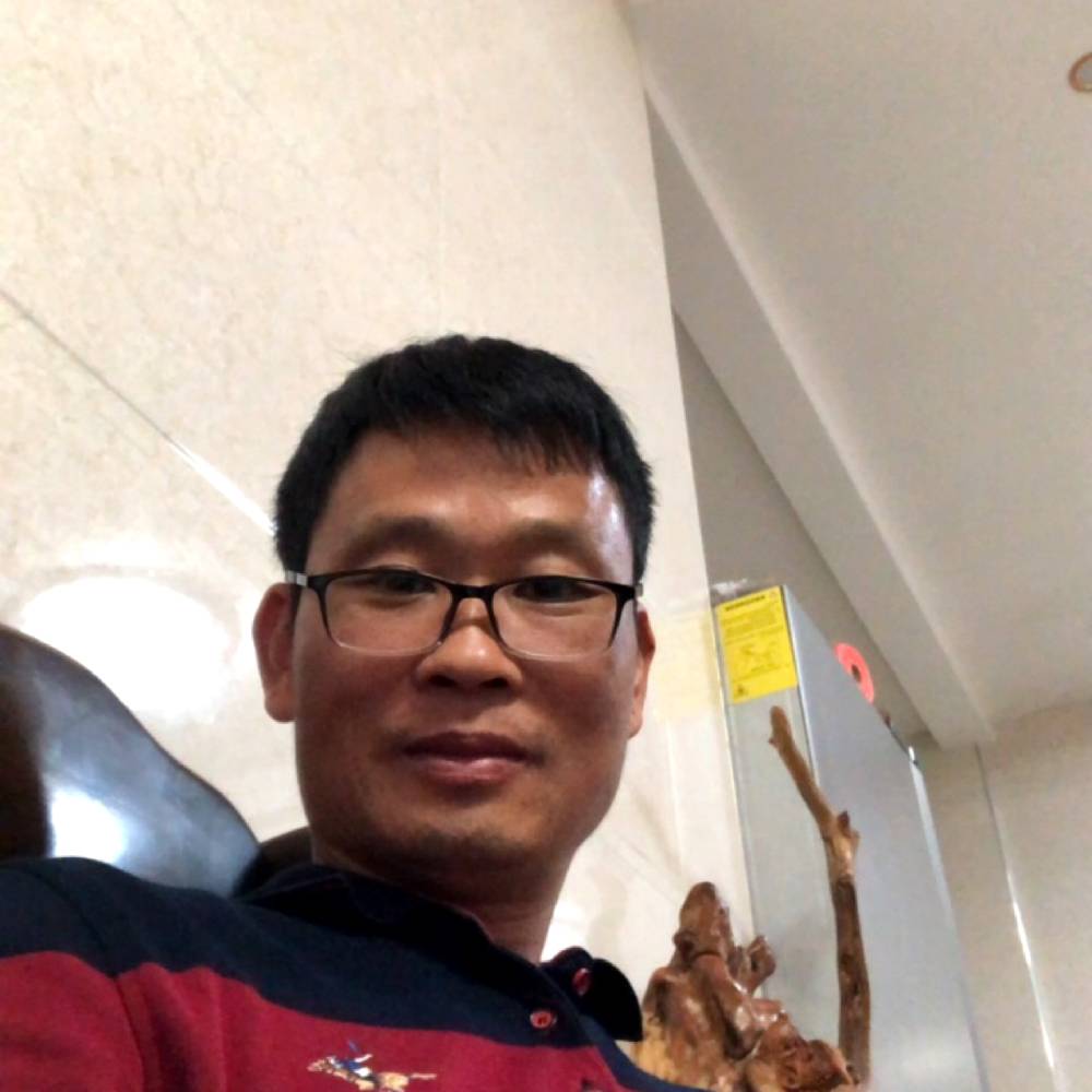 新年新的照片