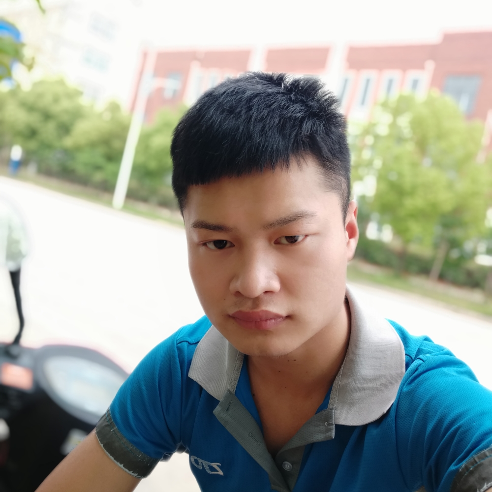 白猫打不解的的照片