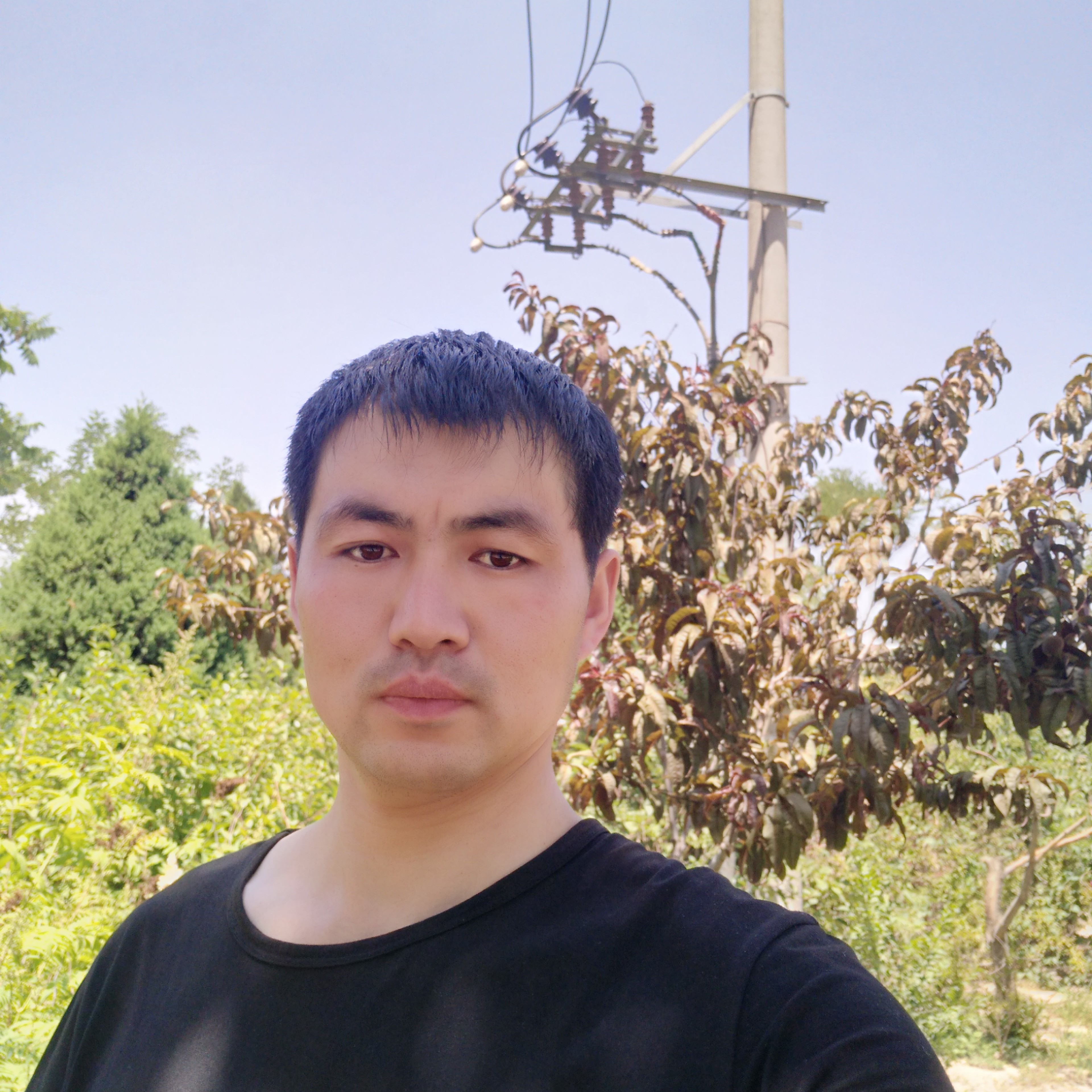 舞蹈开放的照片