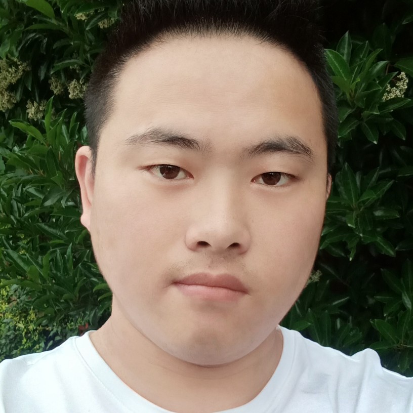 醉熏有斑马的照片