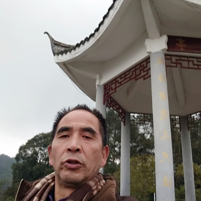 窒内装饰的照片