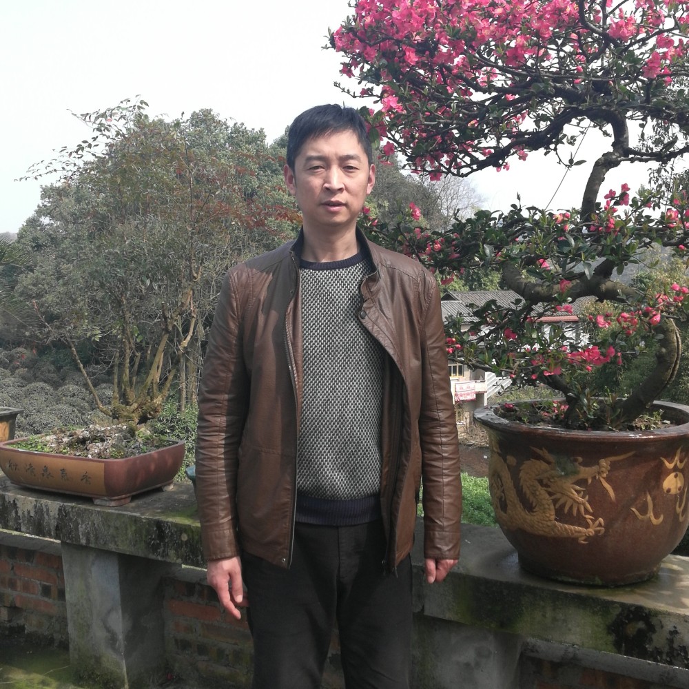 朱来的照片
