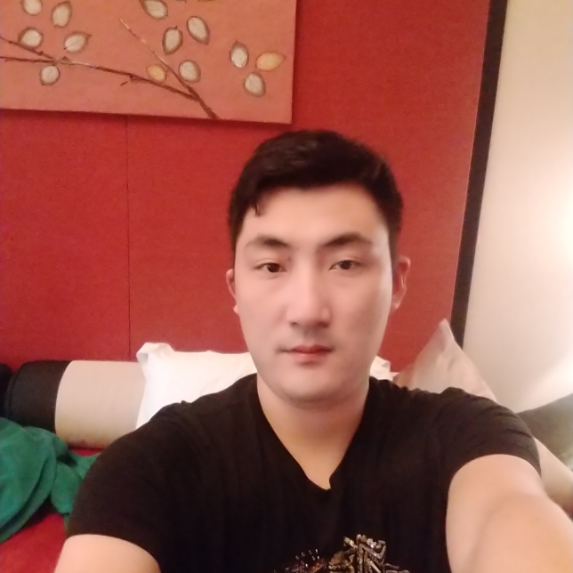 洁净给飞鸟的照片