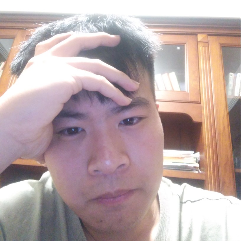 鸭子直率的照片