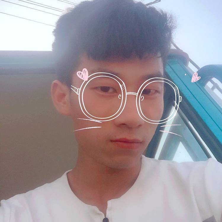 龙猫斑驳的照片