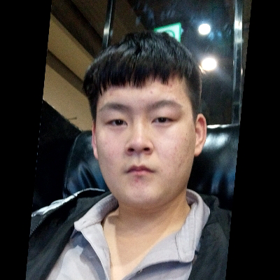 俏皮有小鸭子的照片
