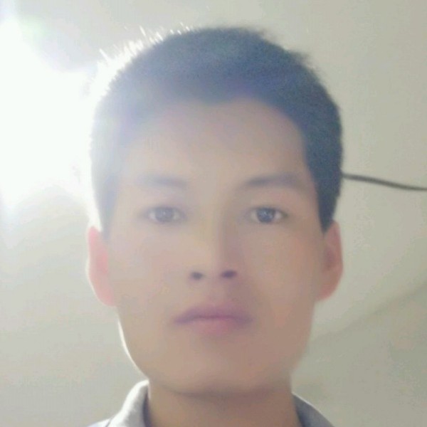 优秀邂逅绝影的照片