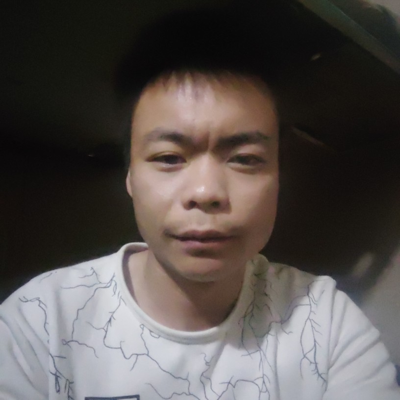 鱼忘七秒钟的记忆的照片
